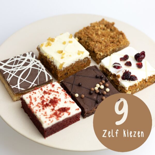 Zelf kiezen Plaatgebak 9 stuks