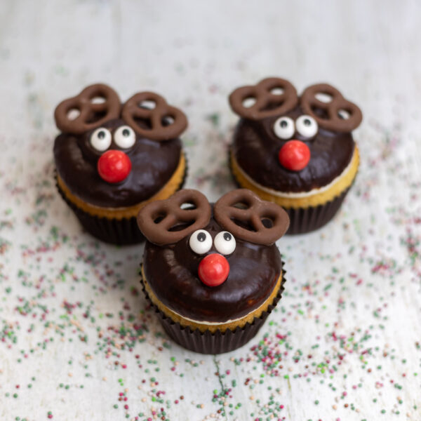 Chocolate Chip - Rudolph cupcake